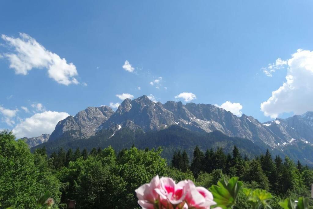 Ferienwohnung Zugspitze 그라이나우 외부 사진